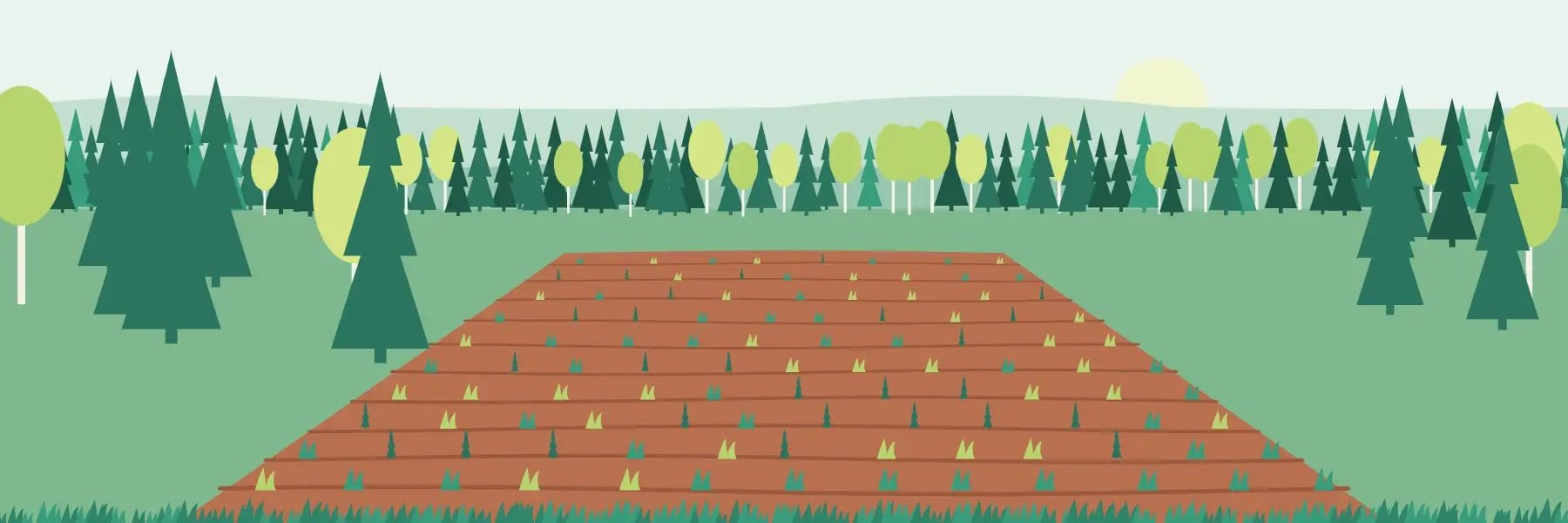 land-reclamation-stage-2