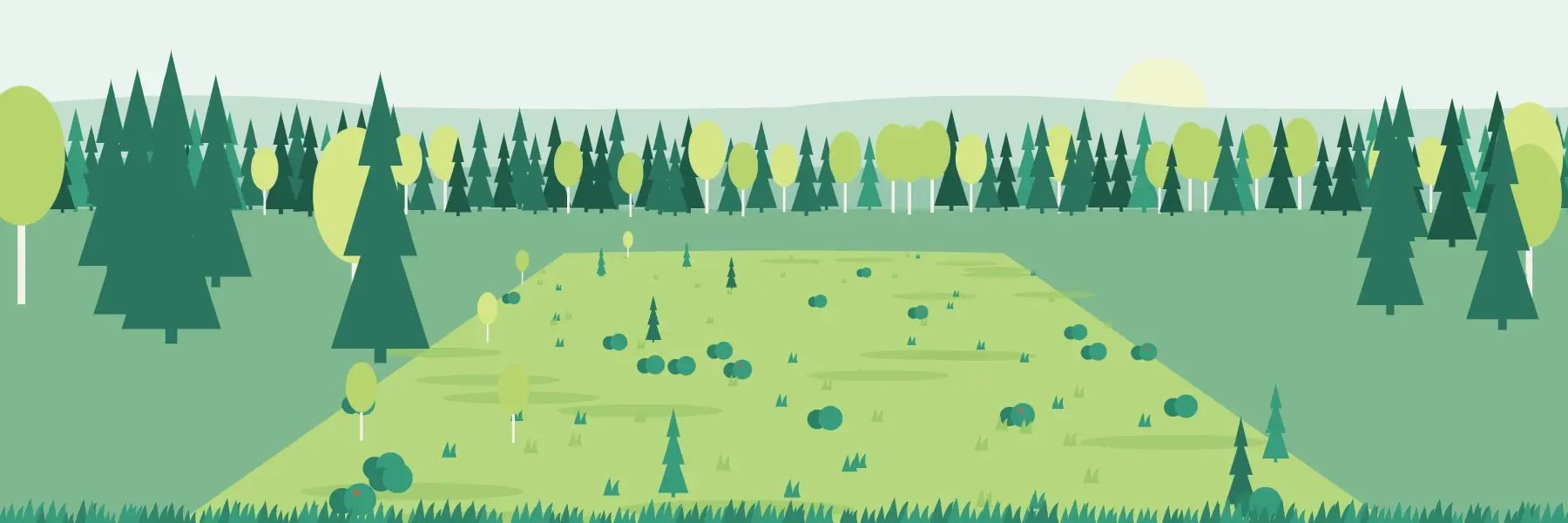 land-reclamation-stage-3